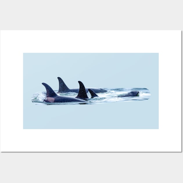 Orca family Wall Art by dalyndigaital2@gmail.com